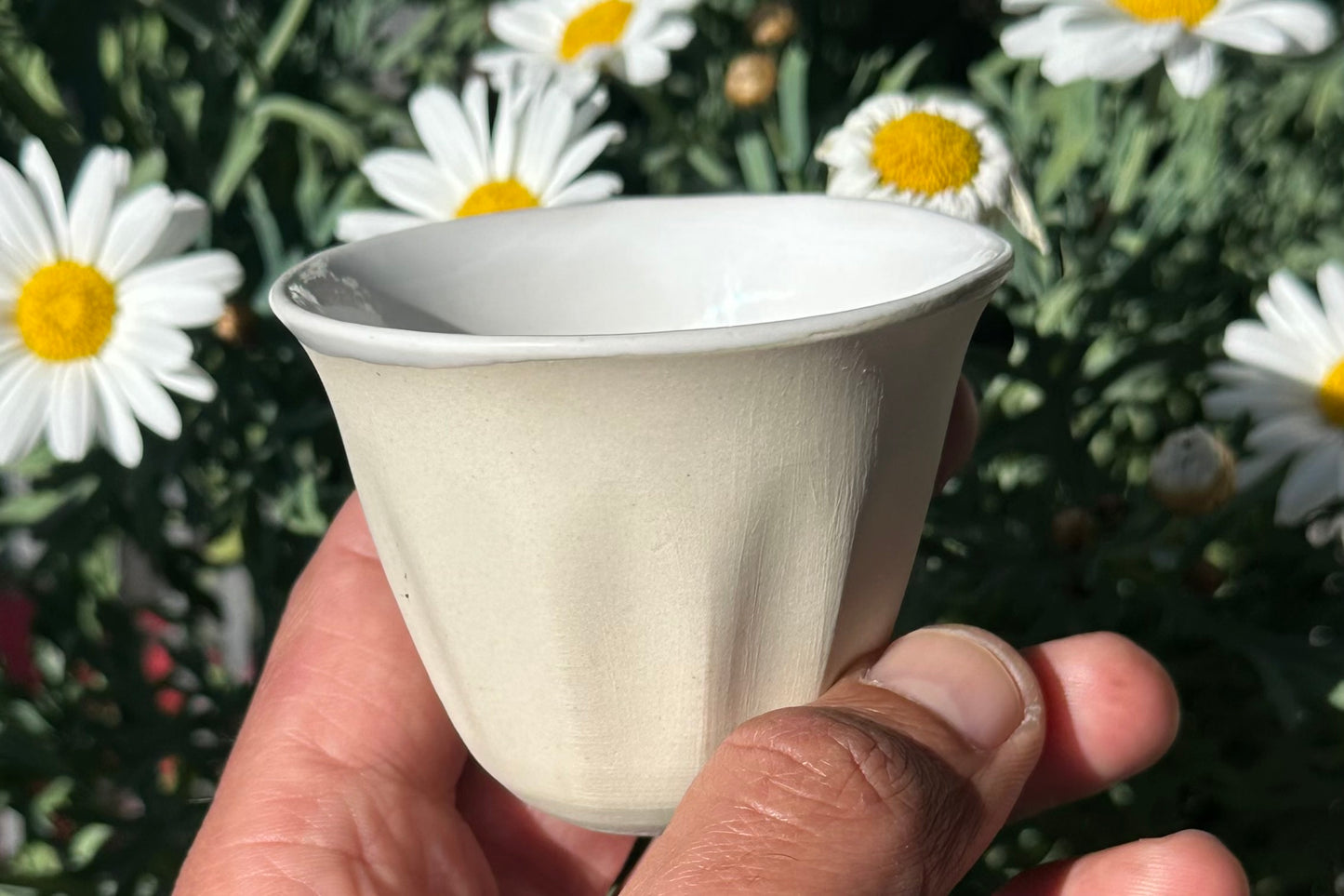 Coqlicup© 66 - Pre-Order NOW - Delivery August 2025