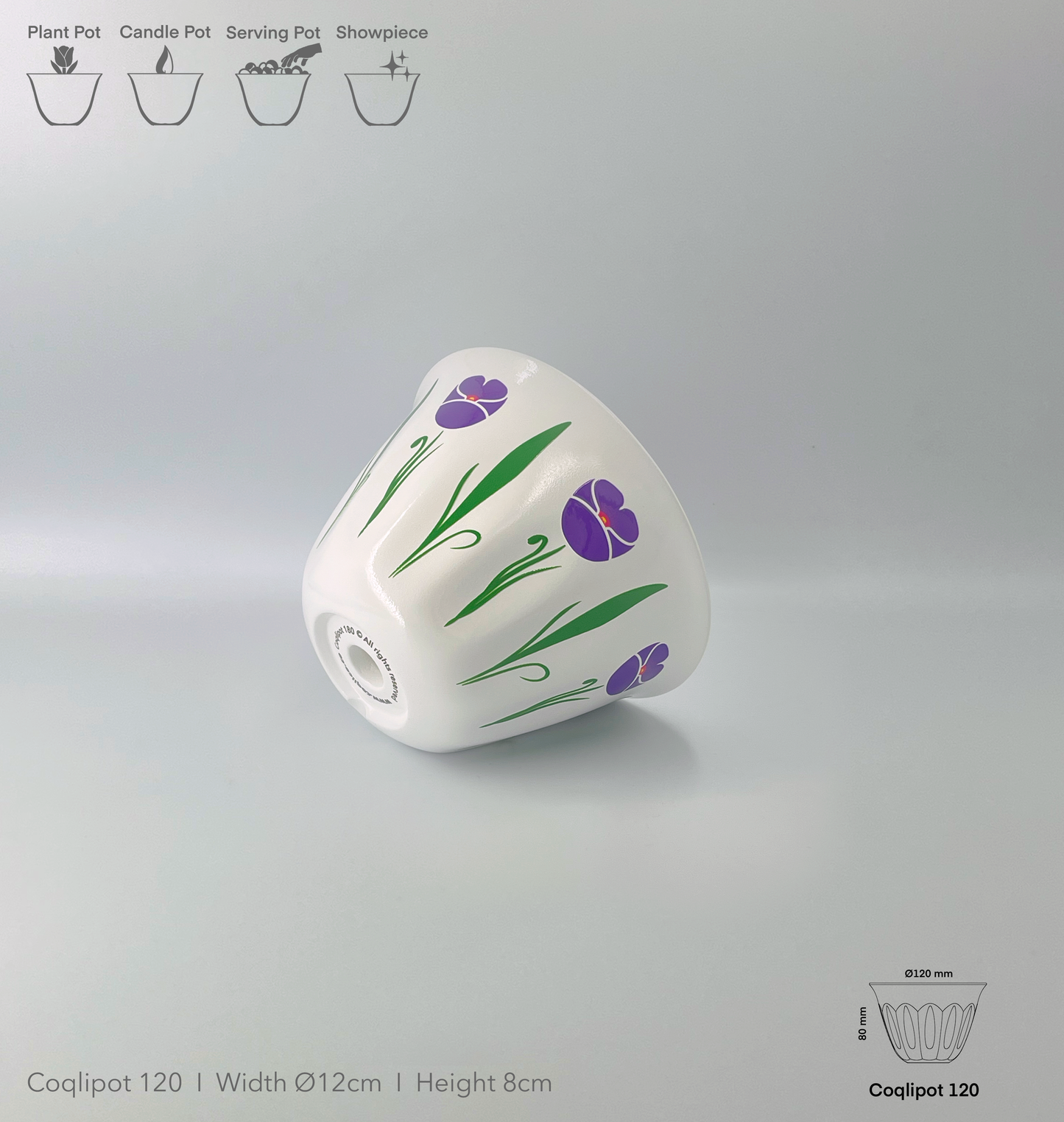 Coqlipot© 120 - Poppy - Purple