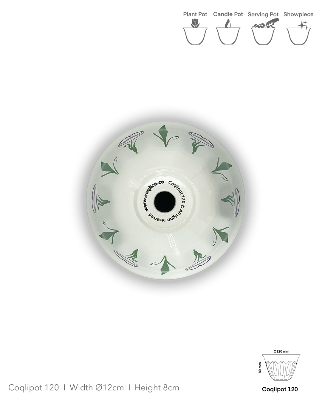 Coqlipot© 120 — Lebanese Poppy Purple Outline (Made-To-Order)