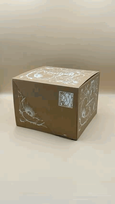 Coqlipot© 180 — Dehabi edition FW24 Gift Pack (V2 — Discontinued)