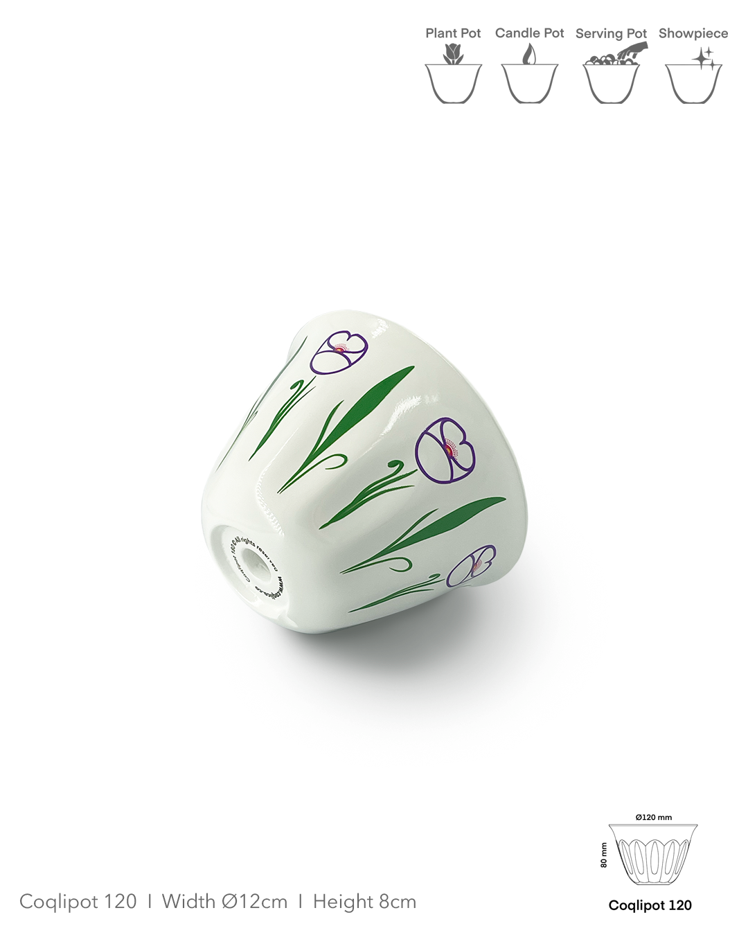 Coqlipot© 120 — Lebanese Poppy Purple Outline (Made-To-Order)